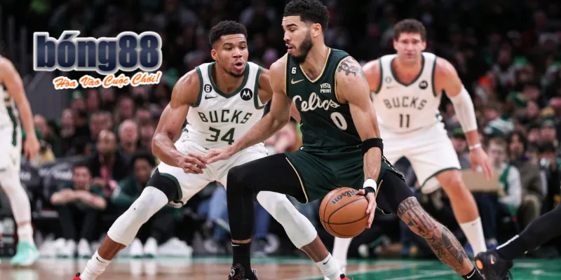 Luật cá cược bóng rổ trực tuyến tại Bong88