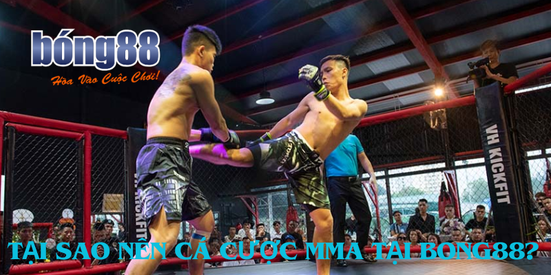 Tại sao nên cá cược MMA tại Bong88?